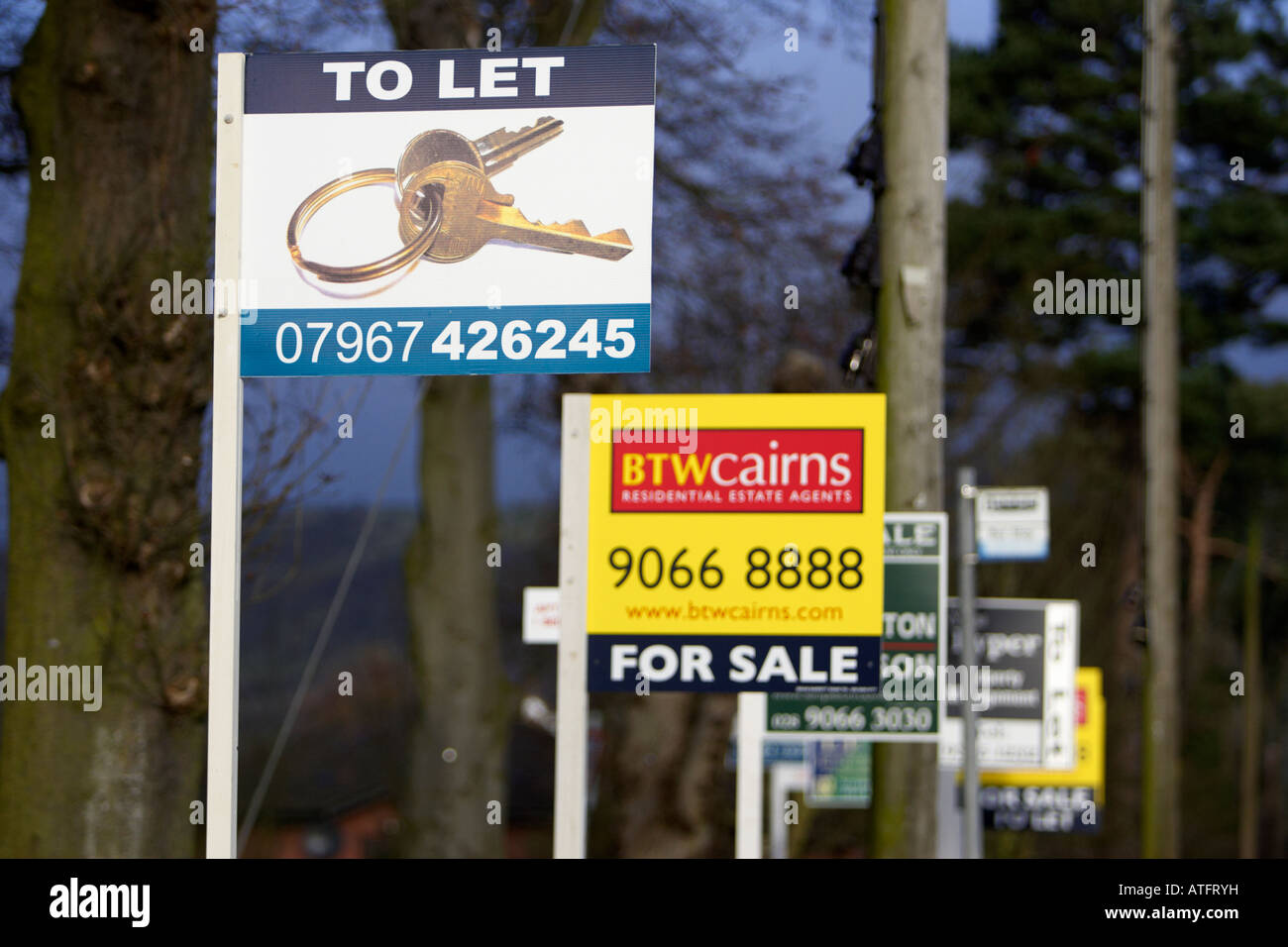 estate agents for sale to let signs in a row in a suburb in northern ireland Stock Photo