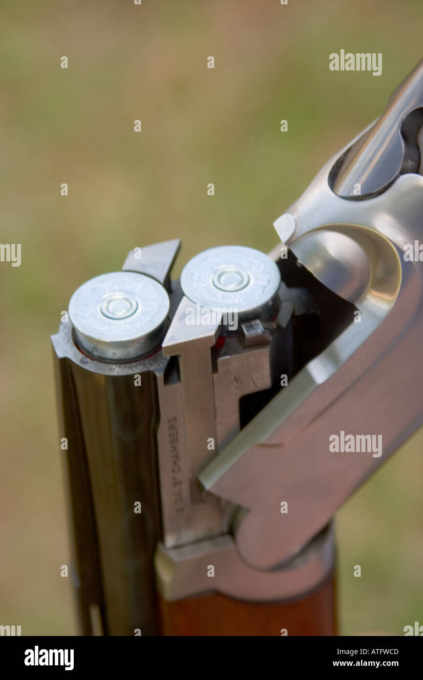 Skeet shooting on a nice day involves a shotgun shells bluerock clay