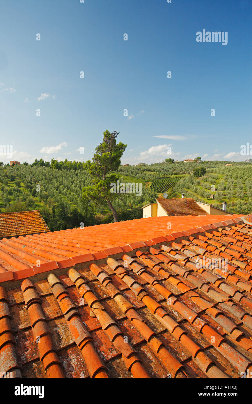 Vinci, Tuscany, Italy Stock Photo