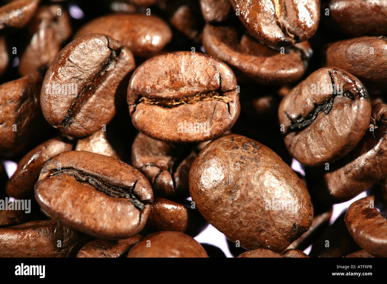 DEU, Germany Espresso coffee beans. Arabica Stock Photo Alamy