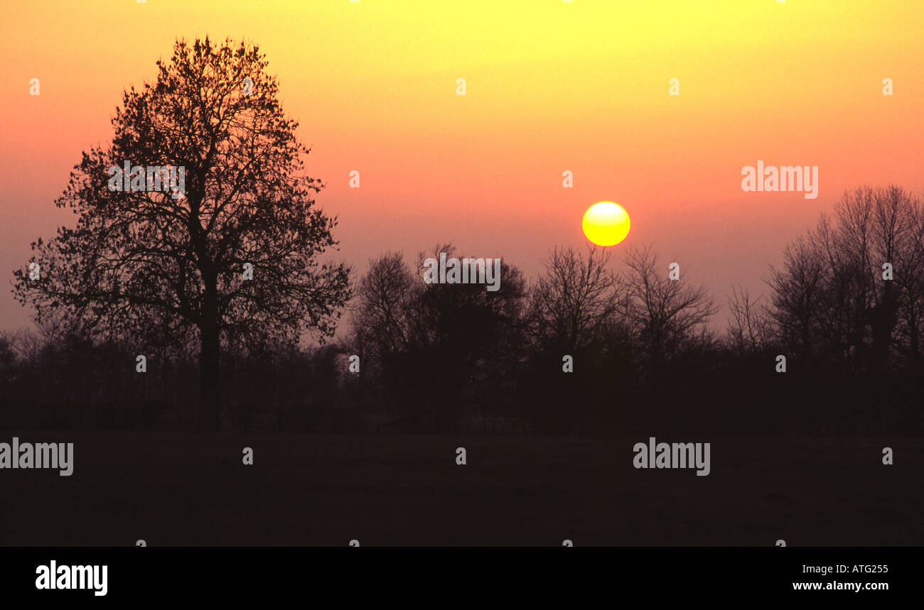 Misty Winter Sunset Stock Photo