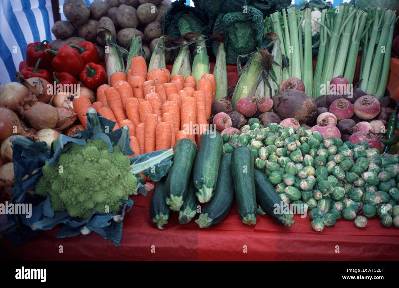 Selection of vegetables - carrots courgettes sprouts peppers potatoes ...