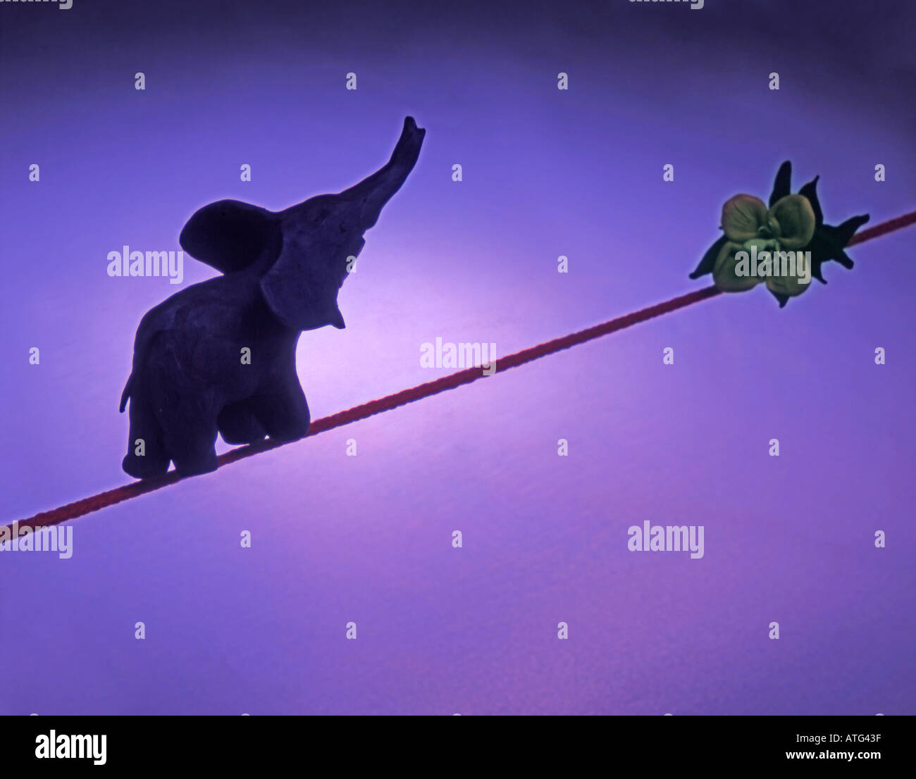 Purpose of walk hi-res stock photography and images - Alamy