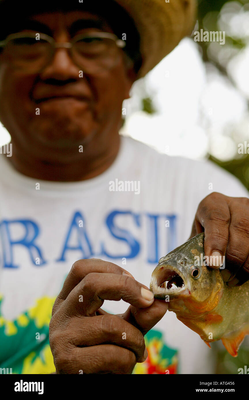 Piranhas fish teeth hi-res stock photography and images - Page 3