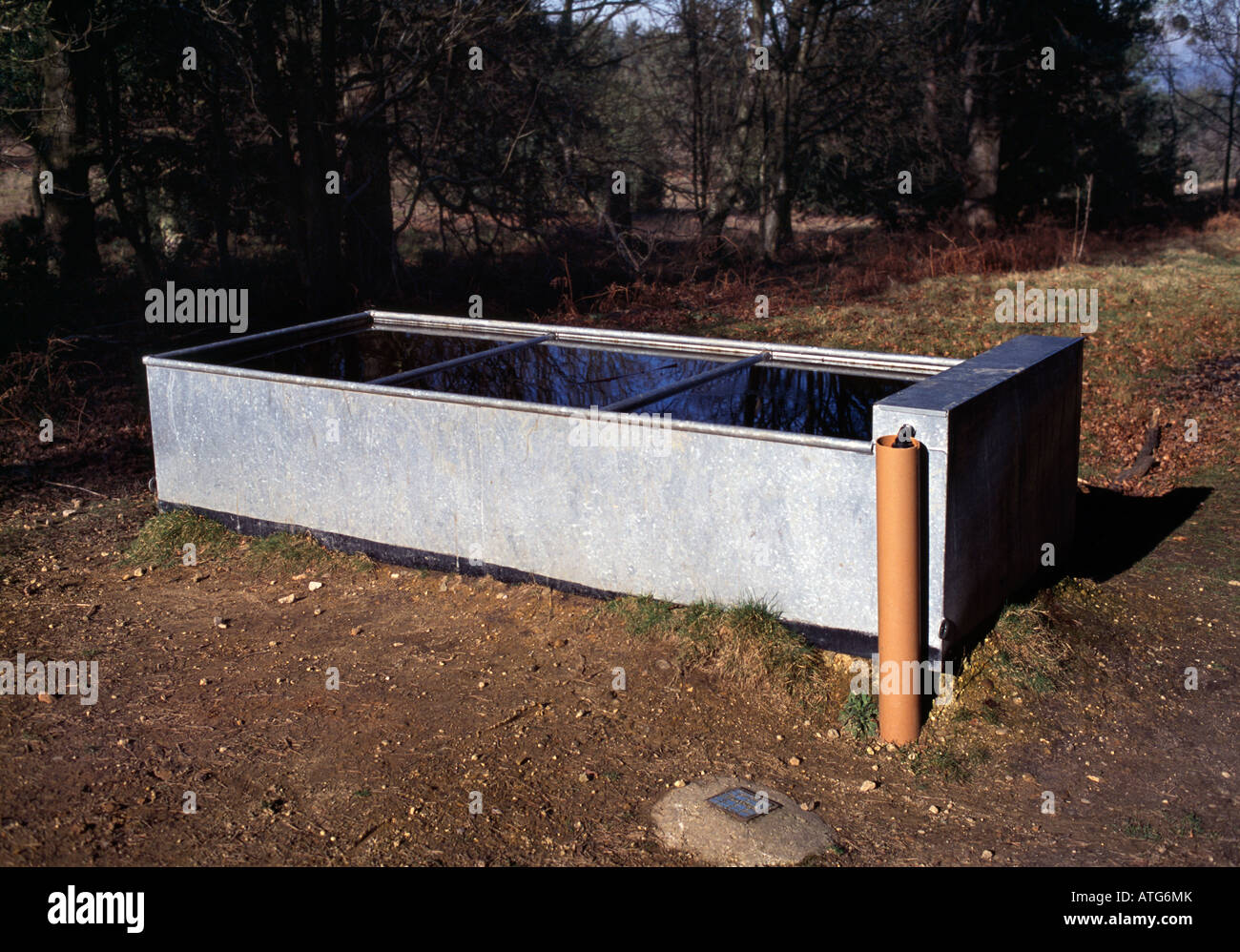 Water trough for horses. The Devils Punch Bowl, Hindhead, Surrey, England, UK. Stock Photo