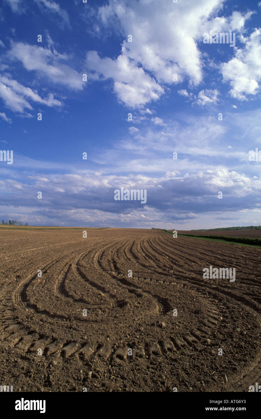 Contour ploughing hires stock photography and images Alamy