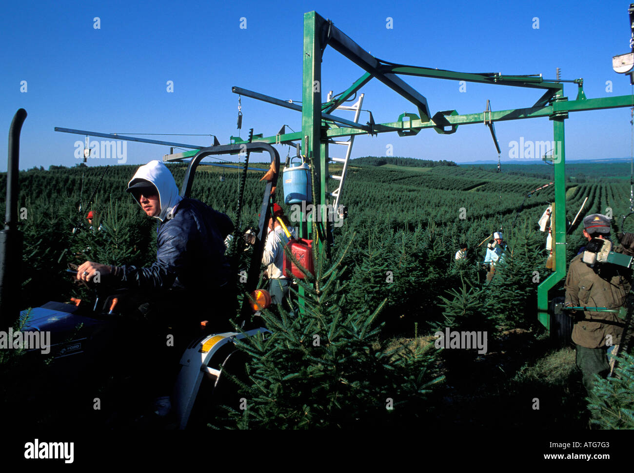 Christmas tree trees tractor hi-res stock photography and images - Alamy