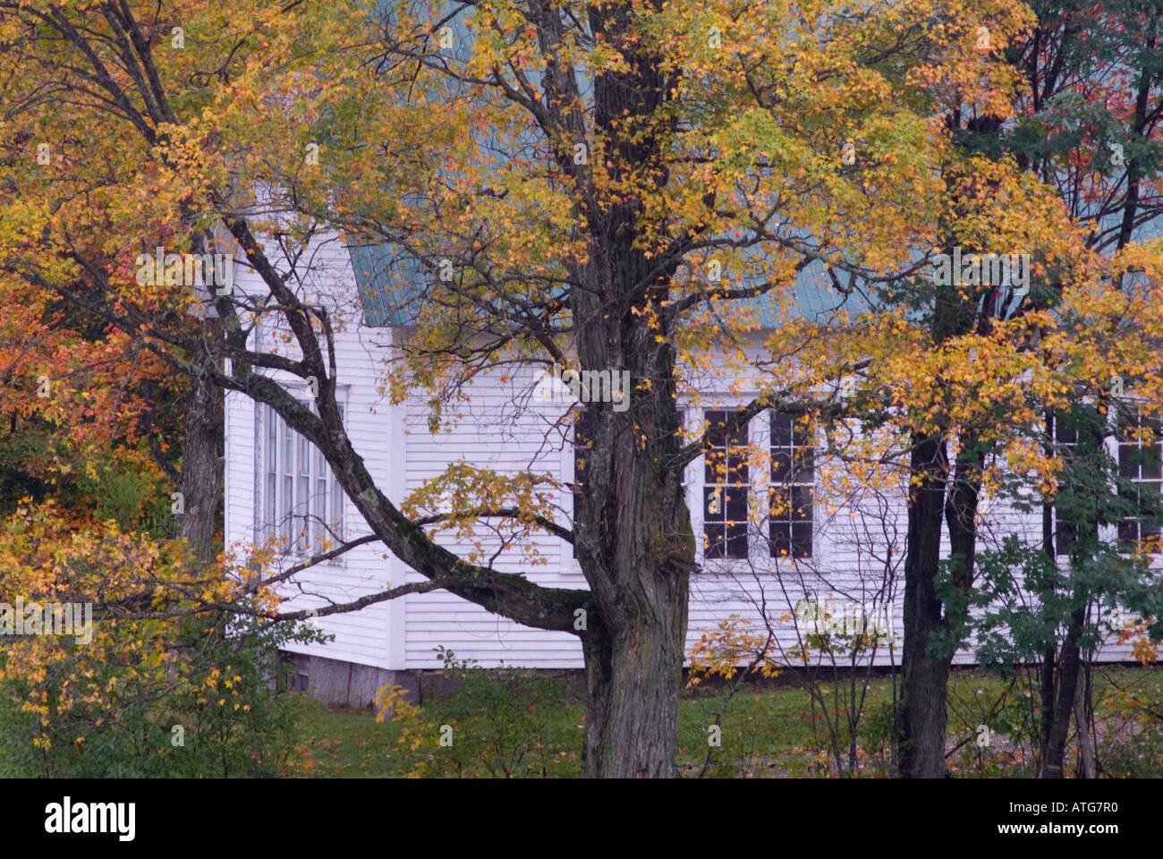Old white school house hidden in the woods on Keswick Ridge, New