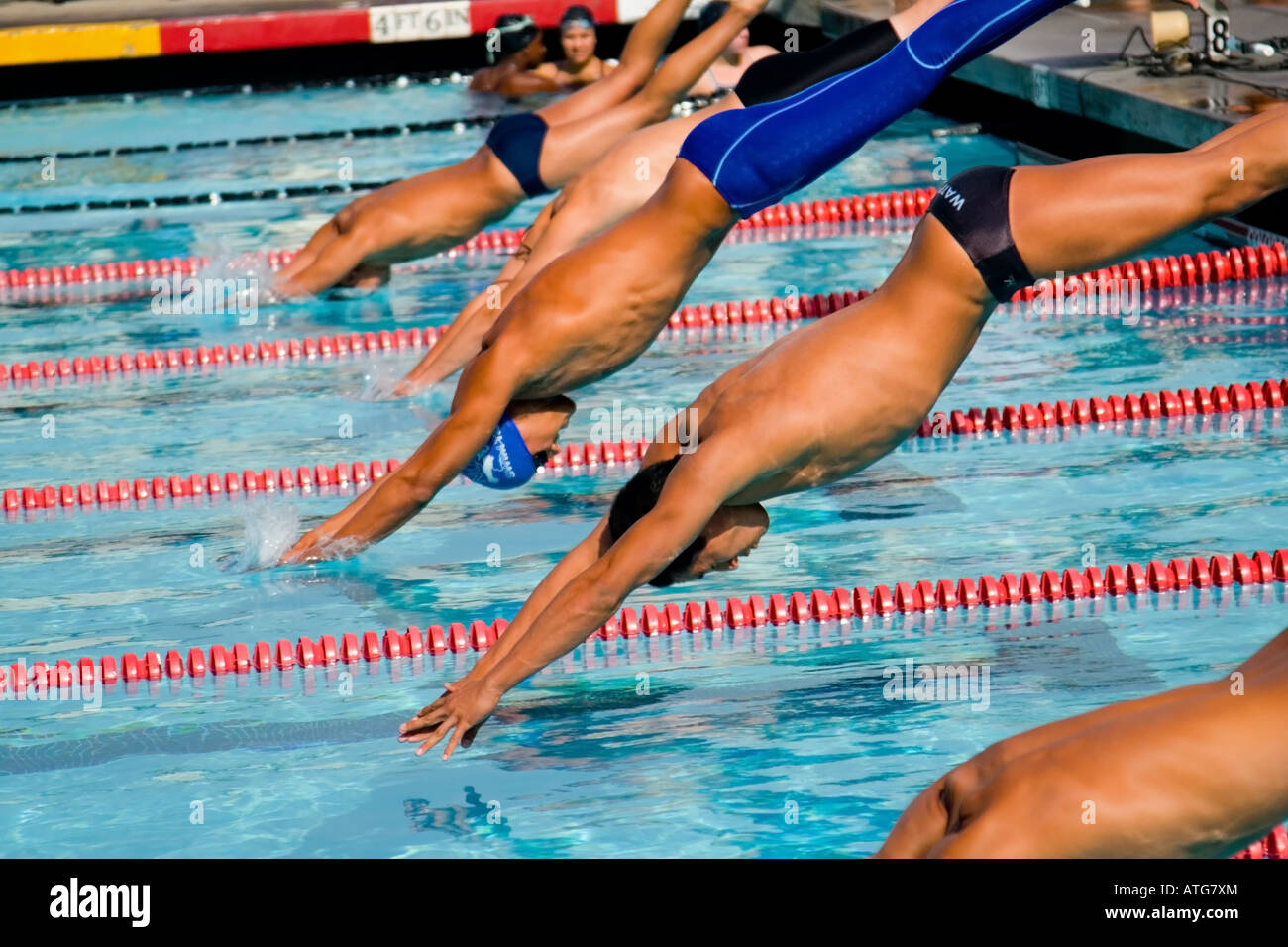 Swimmers and their competition in the pool Stock Photo Alamy