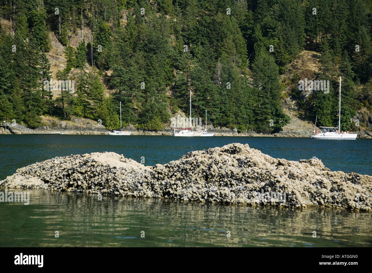 Halkett Bay Gambier Island Howe Sound British Columbia Canada Stock