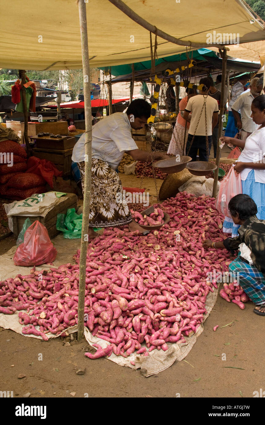 Market stall selling vegetables sweet potatoes Sri Lanka Stock Photo