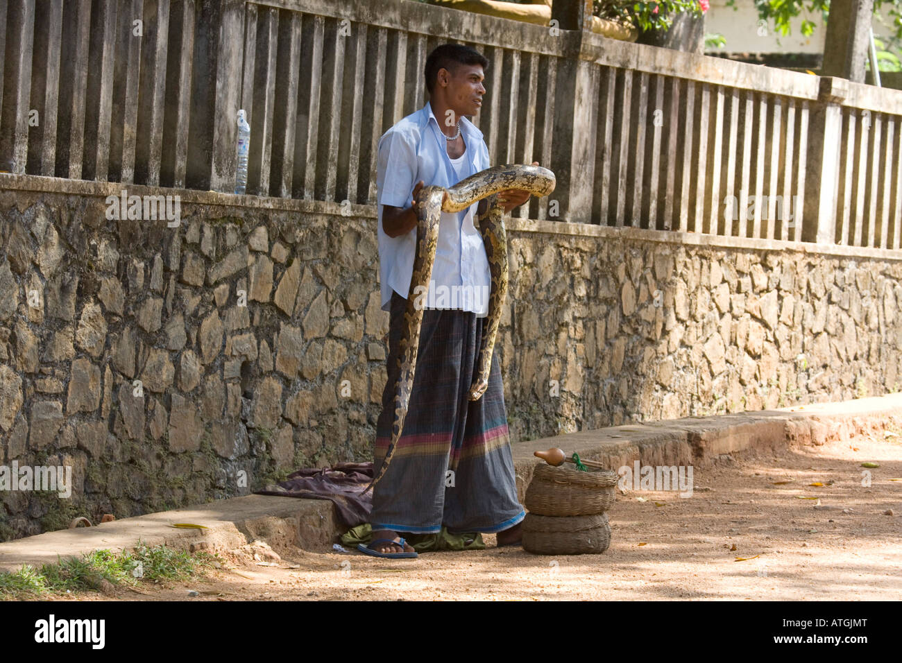 Man with indian python Stock Photo - Alamy