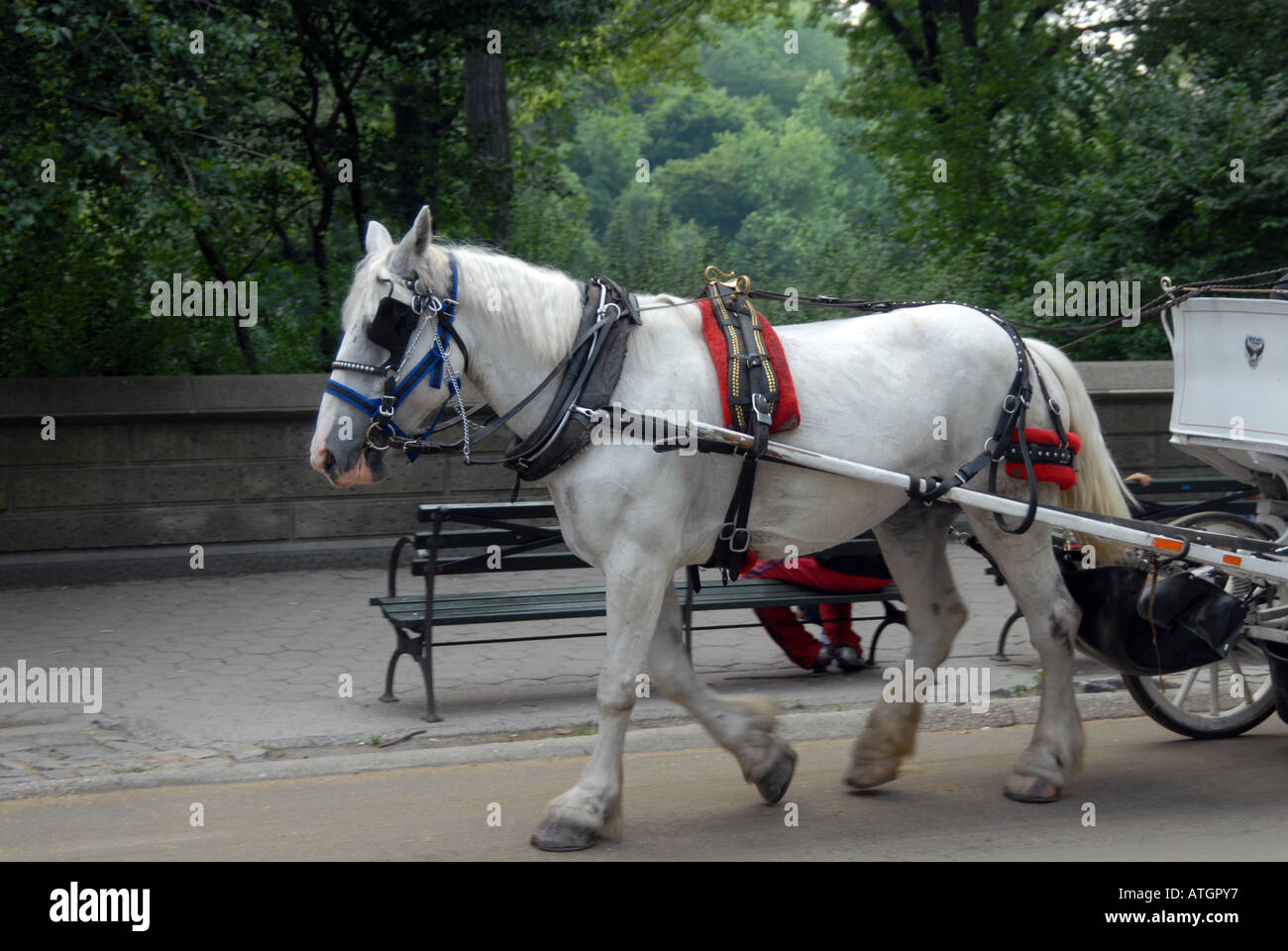America horse and carriage hi-res stock photography and images - Alamy