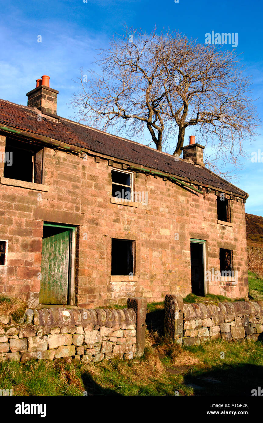 Two Derelict  Semi Detatched Stone Cottages.Located On The Staffordshire Moorlands In England. Stock Photo