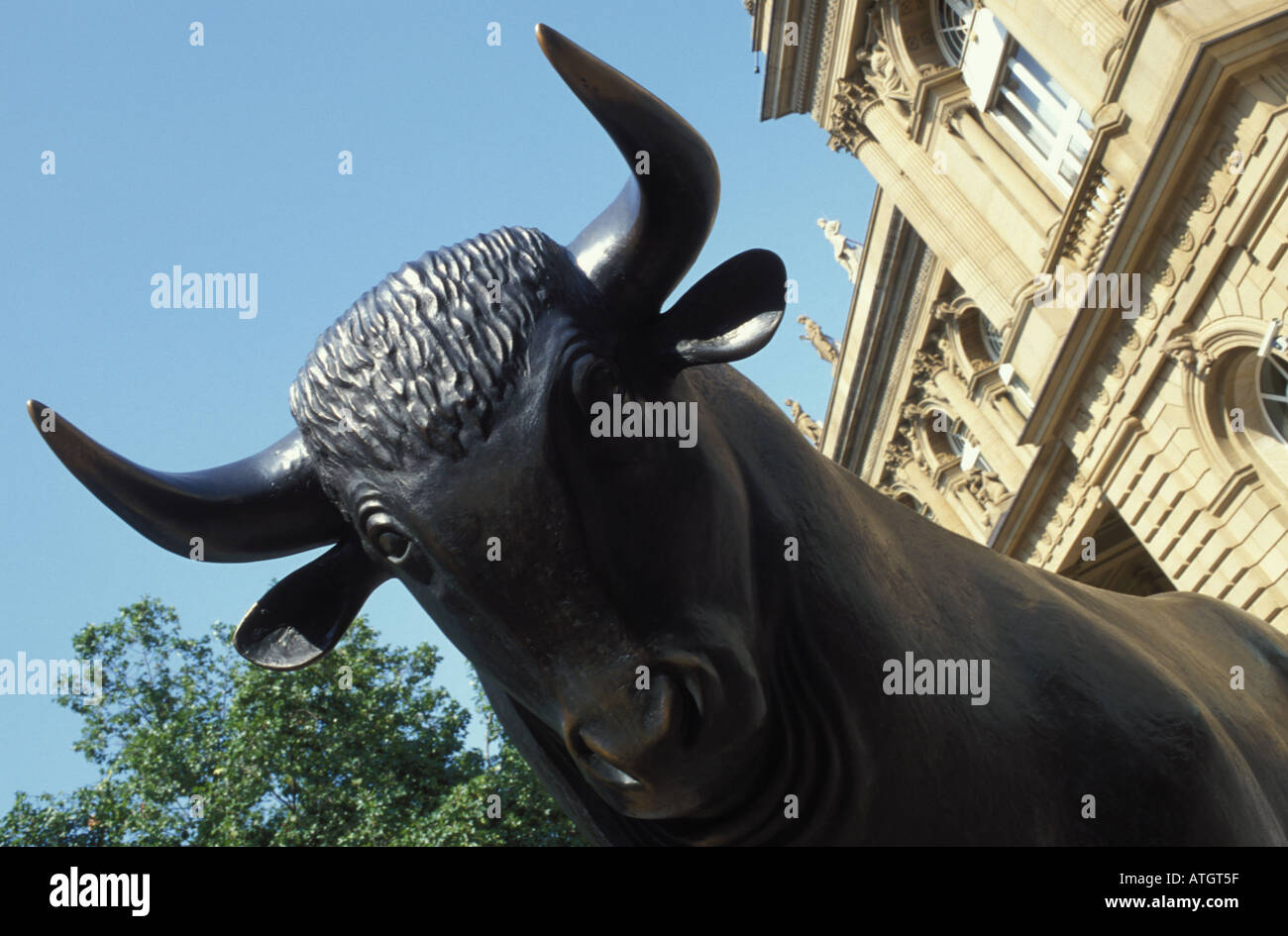 Bull in front of stock market at Frankfurt Hesse Germany Stock Photo