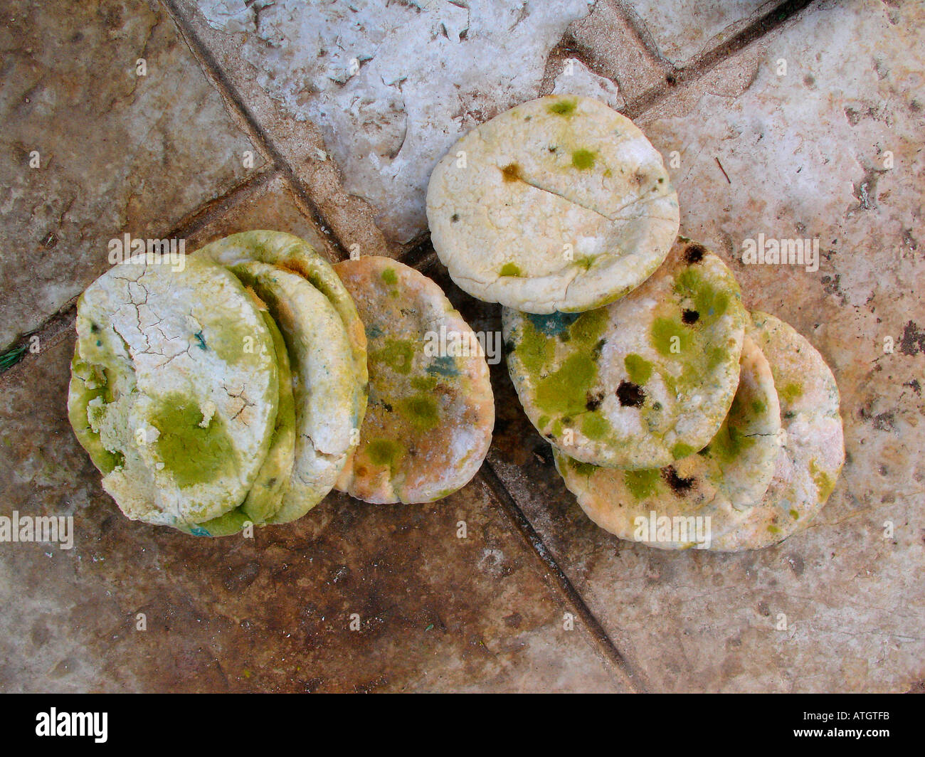 Stack of moldy rounded pita bread Stock Photo