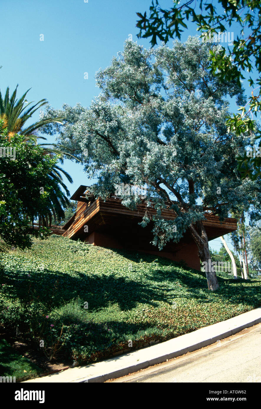 Sturges House, Los Angeles, California, USA. 1939. Architect Frank
