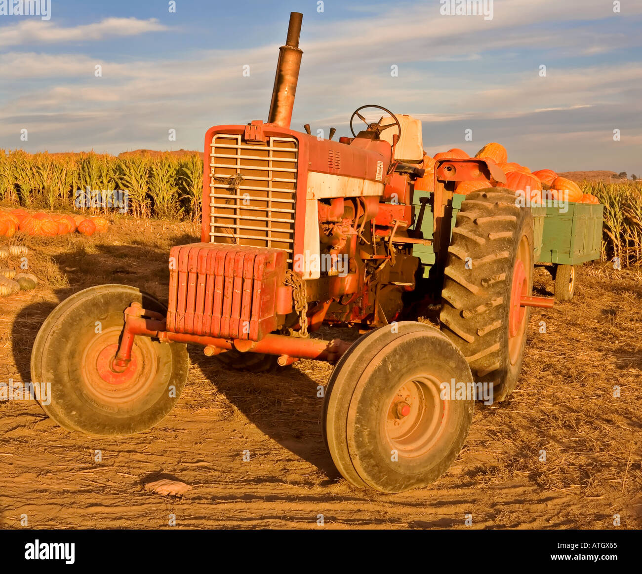 Corn harvest tractor in field hi-res stock photography and images - Alamy