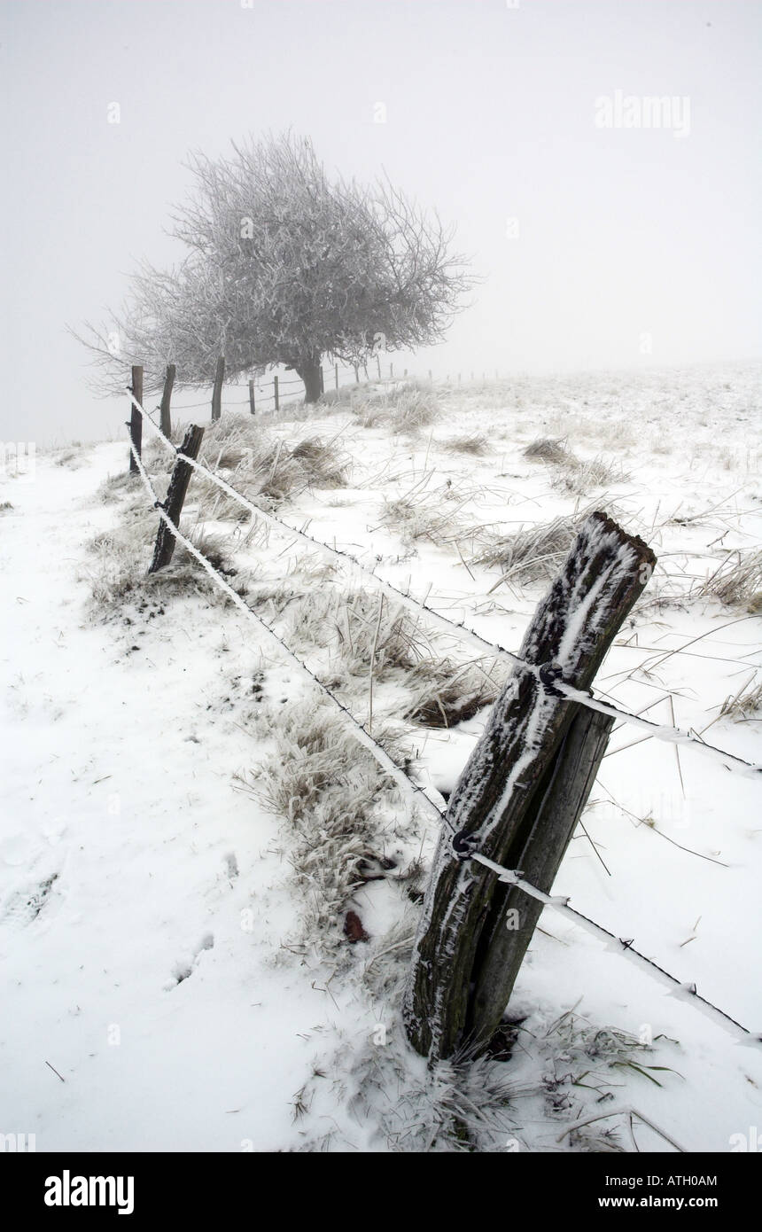 Snowy landscape fence and pasture on a misty winter day Stock Photo