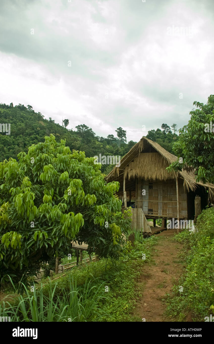 Bamboo bungalow in the middle of the jungle Stock Photo - Alamy