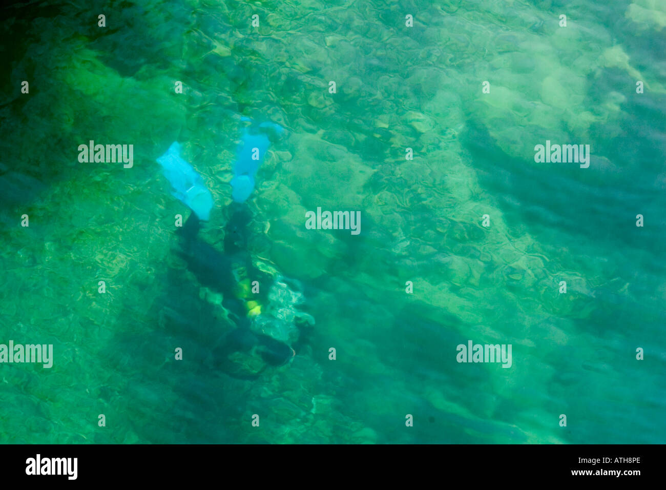 Sub aqua diver in shallow mountain river Stock Photo - Alamy