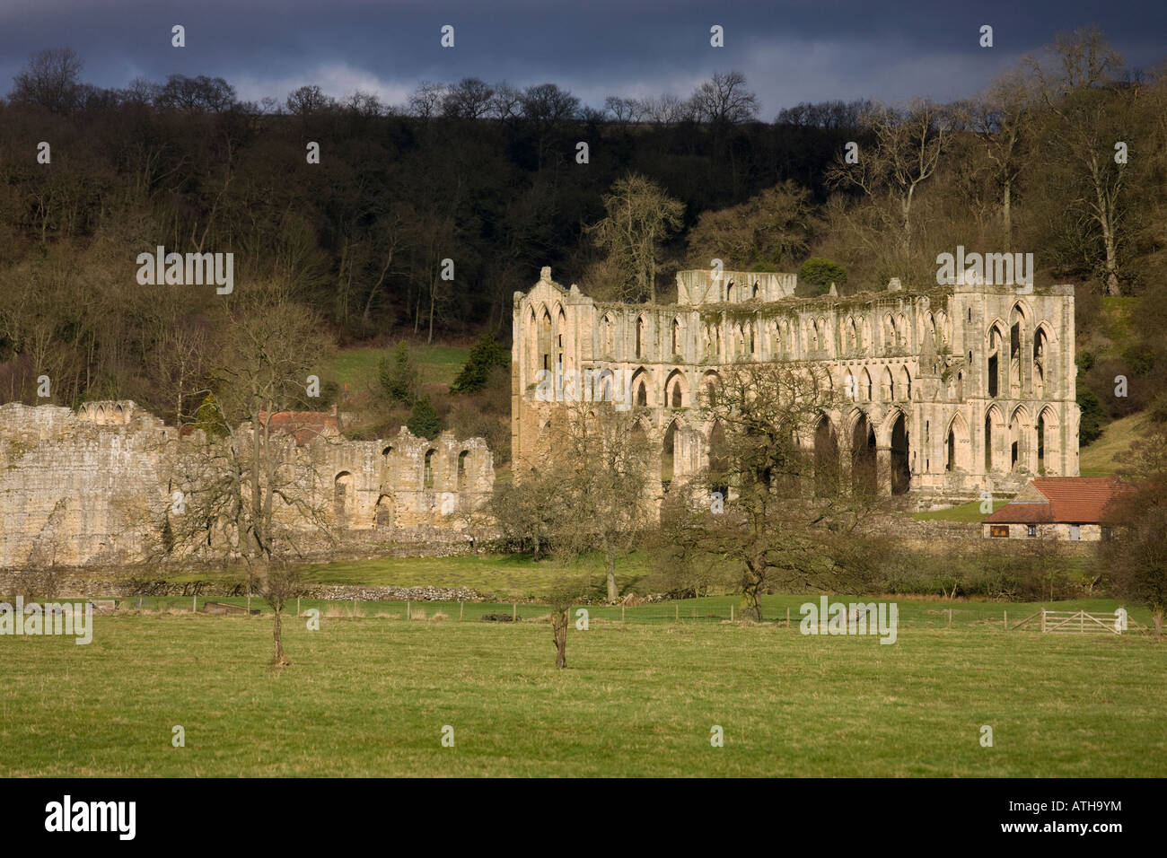 Ruins of Revaux Abbey in North Yorkshire in the North East of England Stock Photo