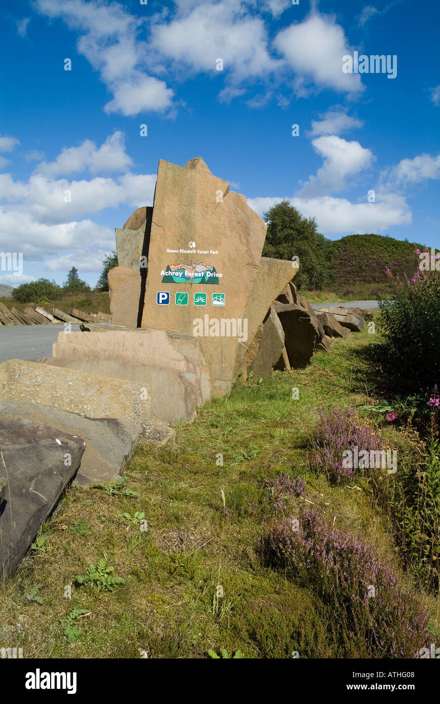 dh Queen Elizabeth Forest Park ACHRAY FOREST STIRLINGSHIRE Achray