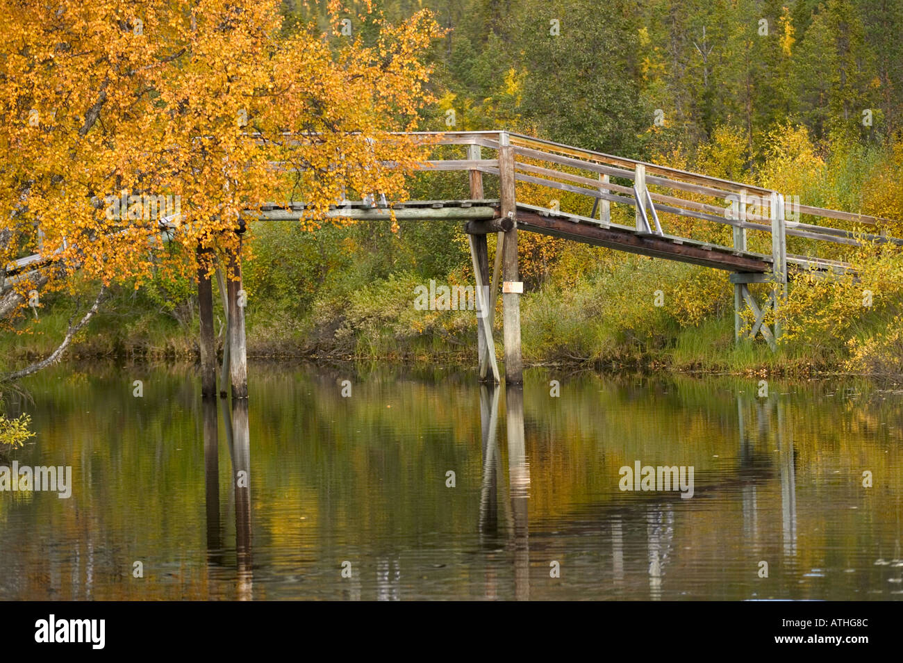 A footbridge in the Kvikkjokk Delta Kvikkjokk Laponia Lapland Sweden