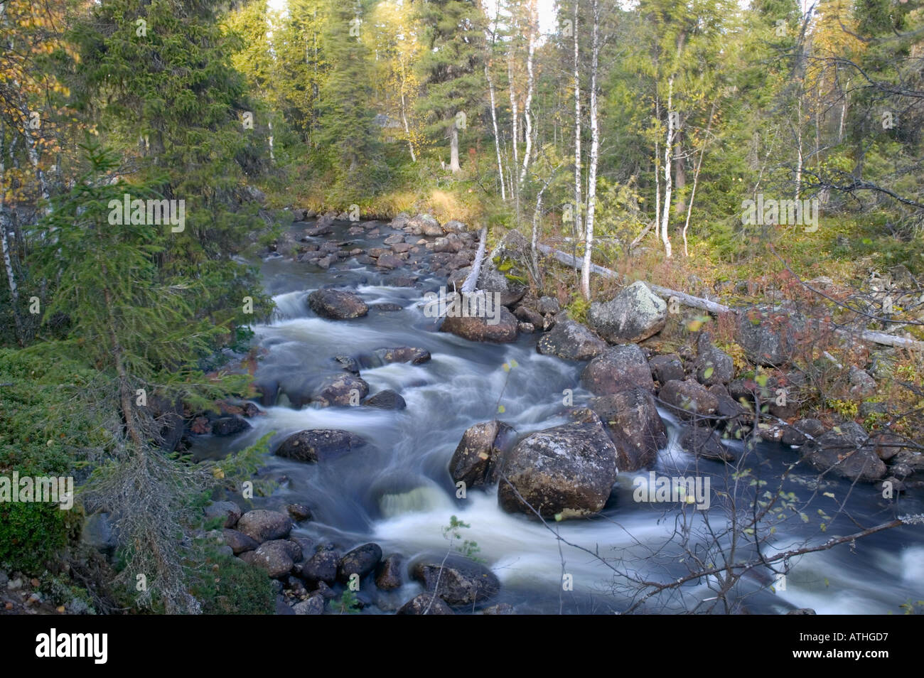 The Jelka River nr Porjus on the edge of the Laponia World Heritage Area Lapland Sweden Stock Photo