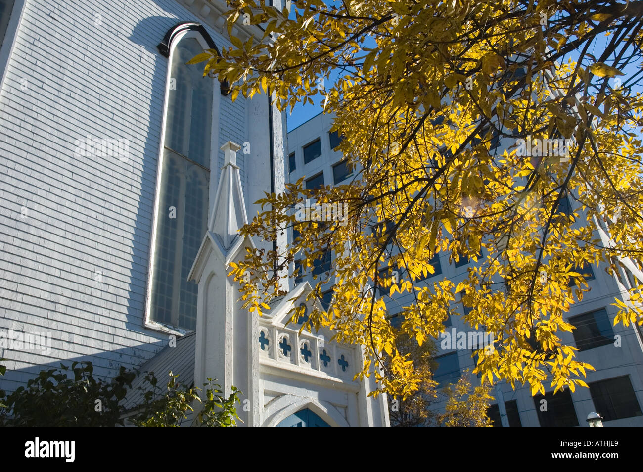 White wooden church with yellow leaves of fall framing it Fredericton New Brunswick Canada Stock Photo