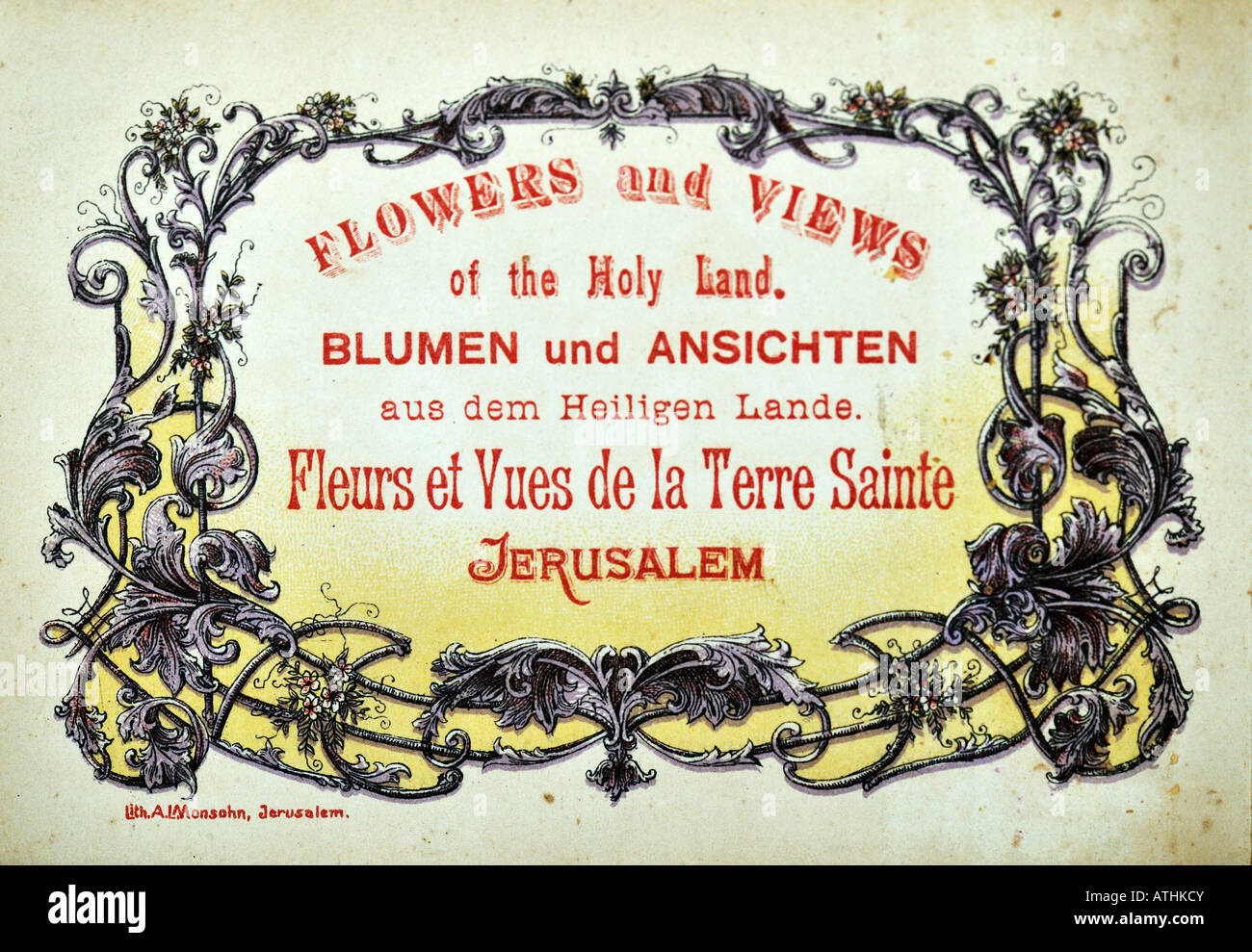 Vintage pressed flowers 1900s hi-res stock photography and images - Alamy