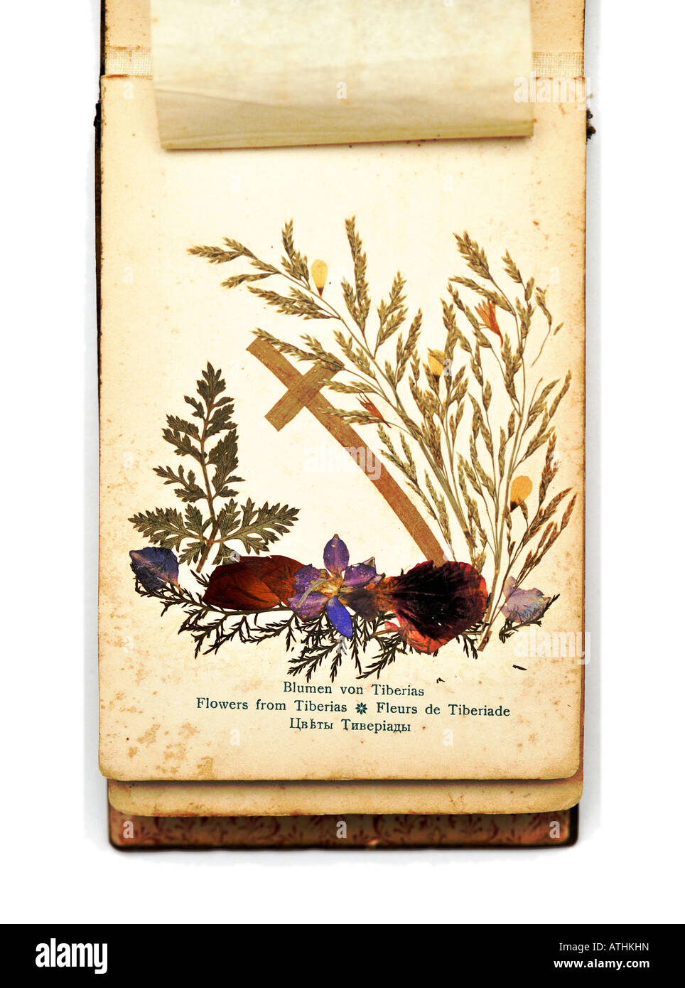 1900s Souvenir Olive wood album of Pressed Flowers from the Holy Land and Jerusalem Stock Photo