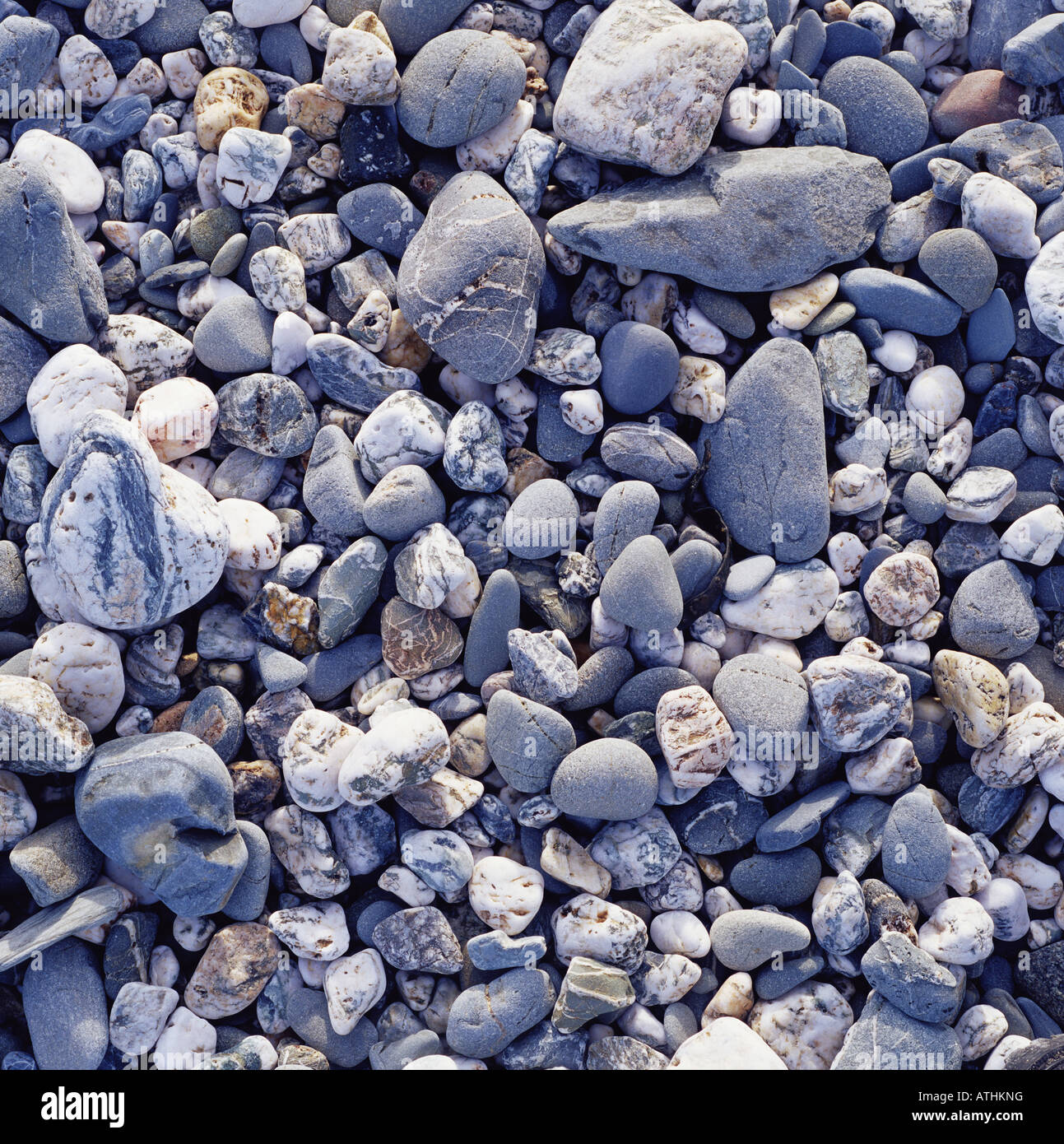Pebbles Example Different shape pebbles hi-res stock photography and images - Alamy
