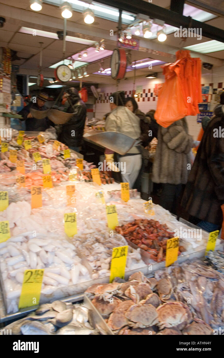 Fish market chinatown canal street hires stock photography and images