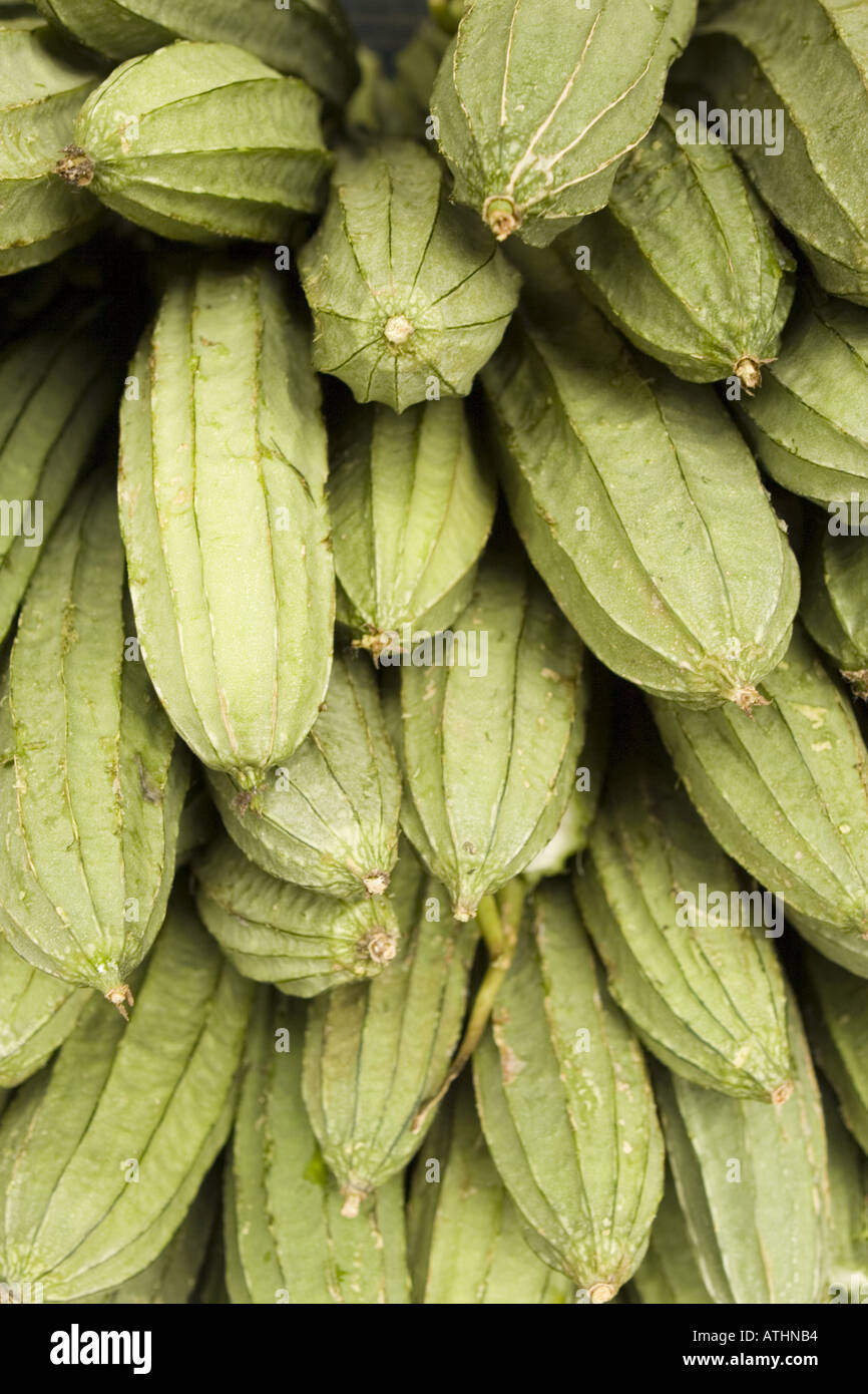 Indian ridge gourd used in cooking toor at Indian grocery store Queens