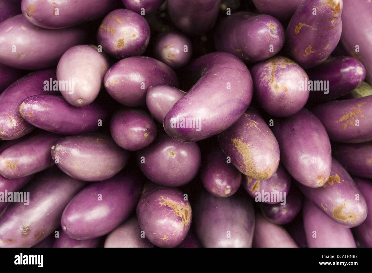 Chinese eggplant at Indian grocery store Queens New York NYC Stock