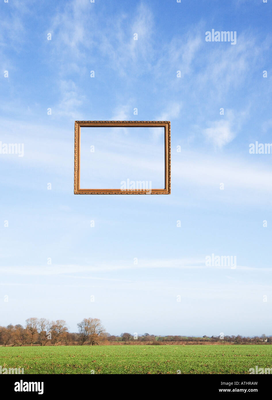 Picture frame in a landscape Stock Photo - Alamy