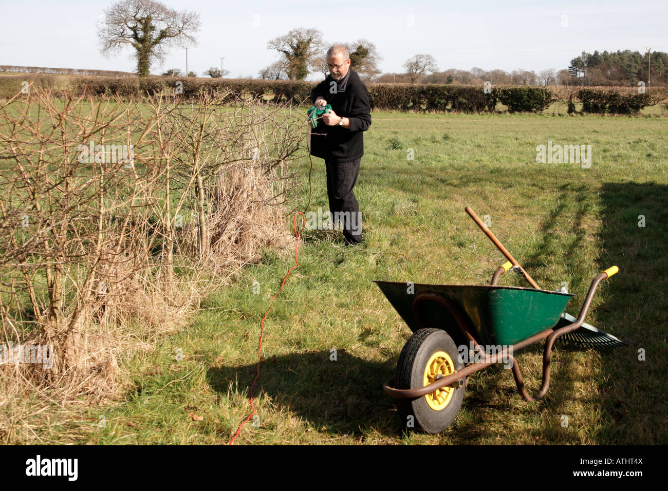Trimming hedges in late winter before the growing season, Farmland