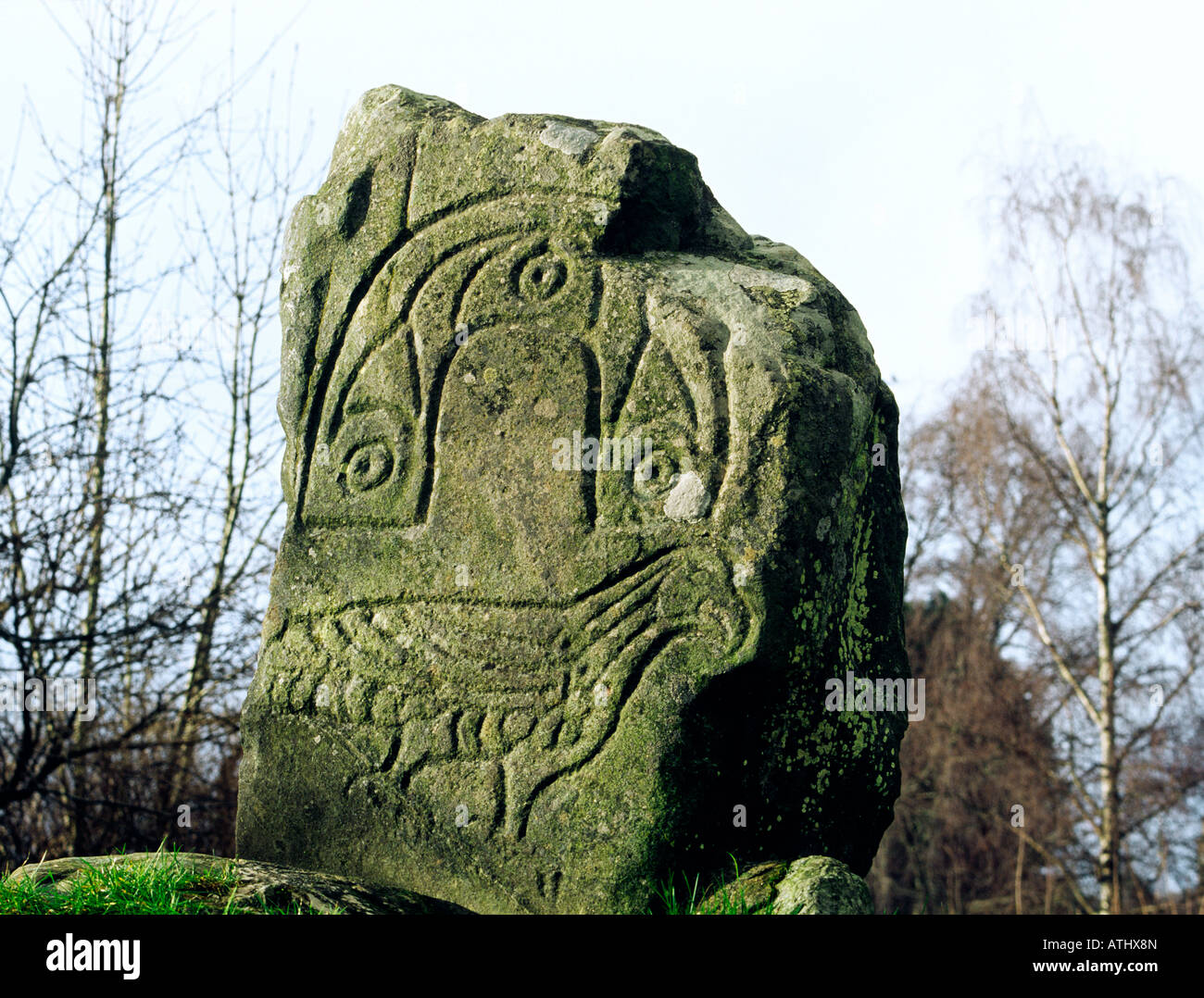 Eagle bird motif carved on Pictish monument known as the Eagle Stone at Strathpeffer, Cromarty, Highland region, Scotland. Stock Photo