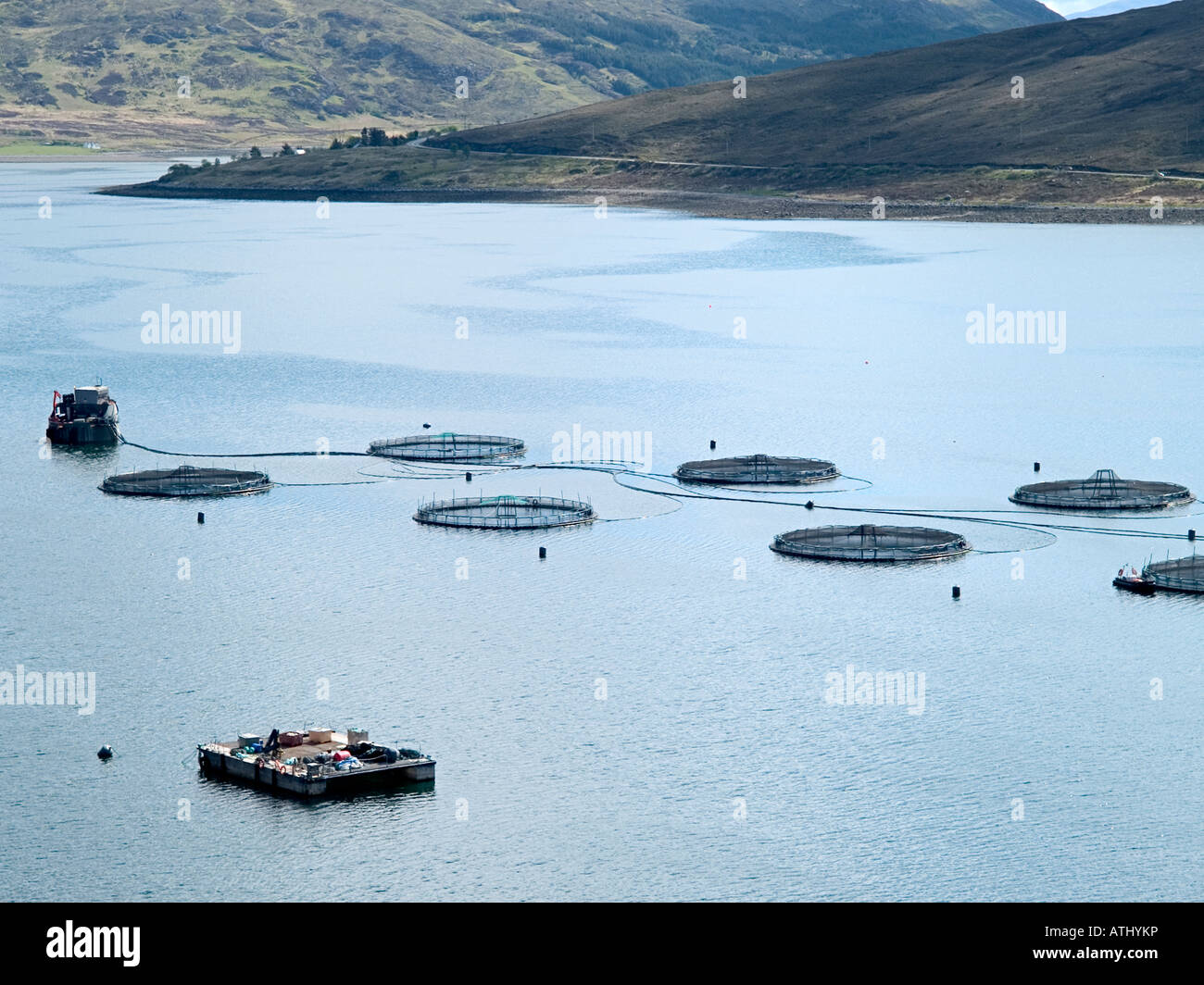 MARINE HARVEST FISH FARM AT THE CAIRIDH SALMON FARM ISLE OF SKYE SCOTLAND Stock Photo Alamy