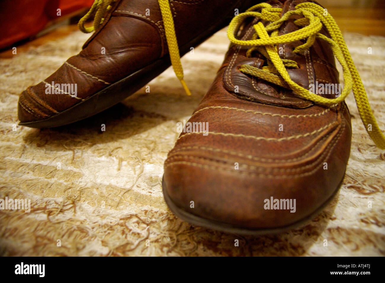 Zapato De Cuero Piel Amarillo Costura Grasa Caballo Cepillo Alfombra High  Resolution Stock Photography and Images - Alamy
