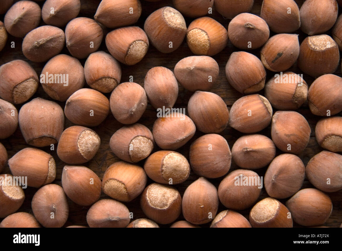 Structure of hazelnuts Stock Photo Alamy