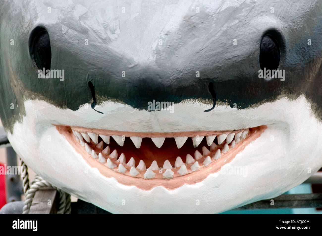 https://c8.alamy.com/comp/ATJCCM/comedy-shark-model-on-fishing-boat-with-big-smile!-ATJCCM.jpg