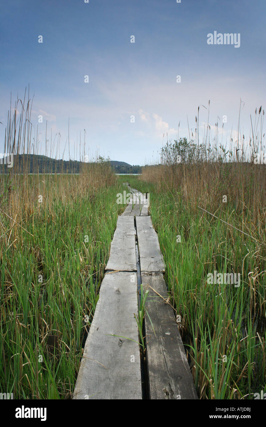 Wooden path on Lake Balaton, Hungary Stock Photo