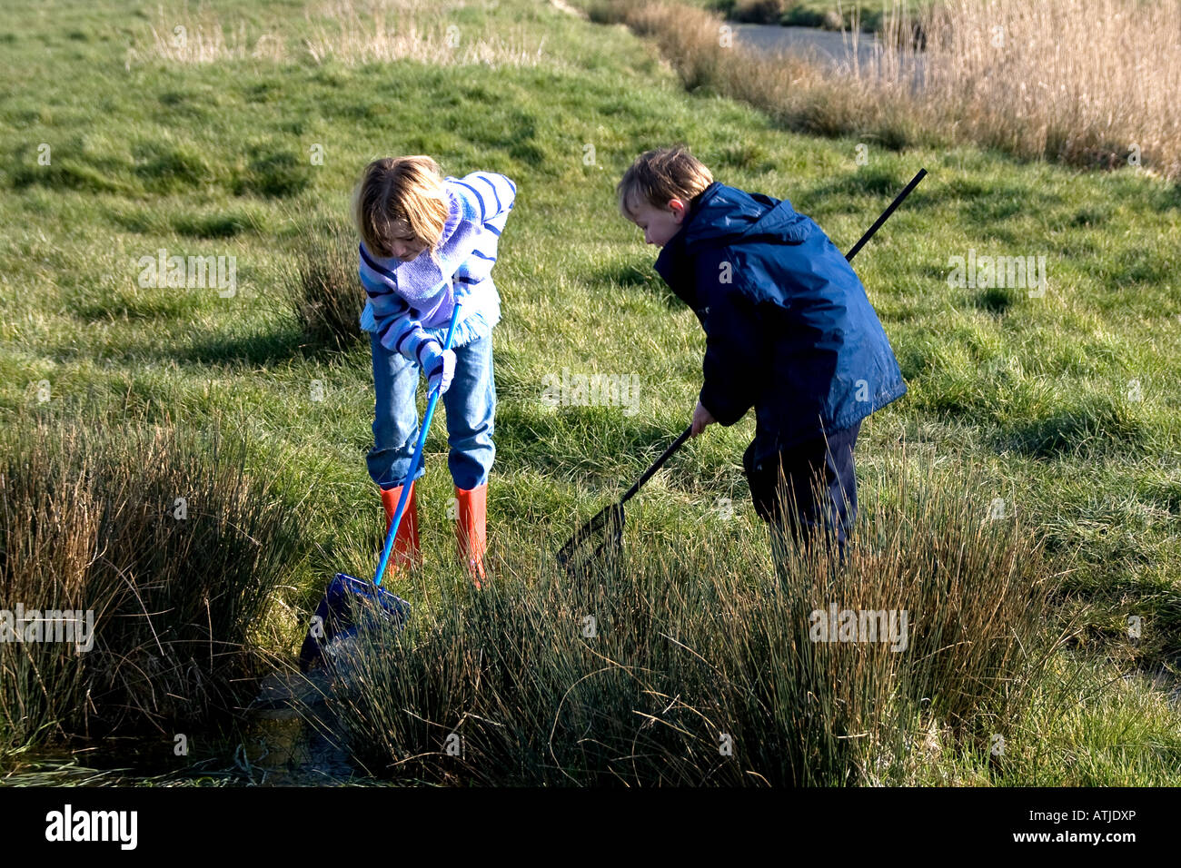 Pond dipping at Lewes Railway Land nature reserve Stock Photo Alamy