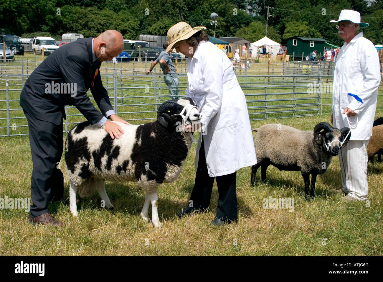 Rare Breeds Goats Hi-res Stock Photography And Images - Alamy