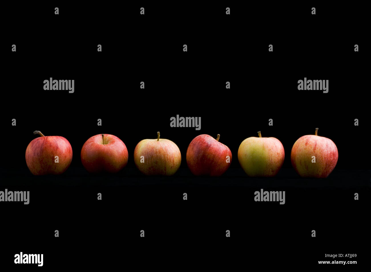 A line of six perfect Gala apples Stock Photo Alamy