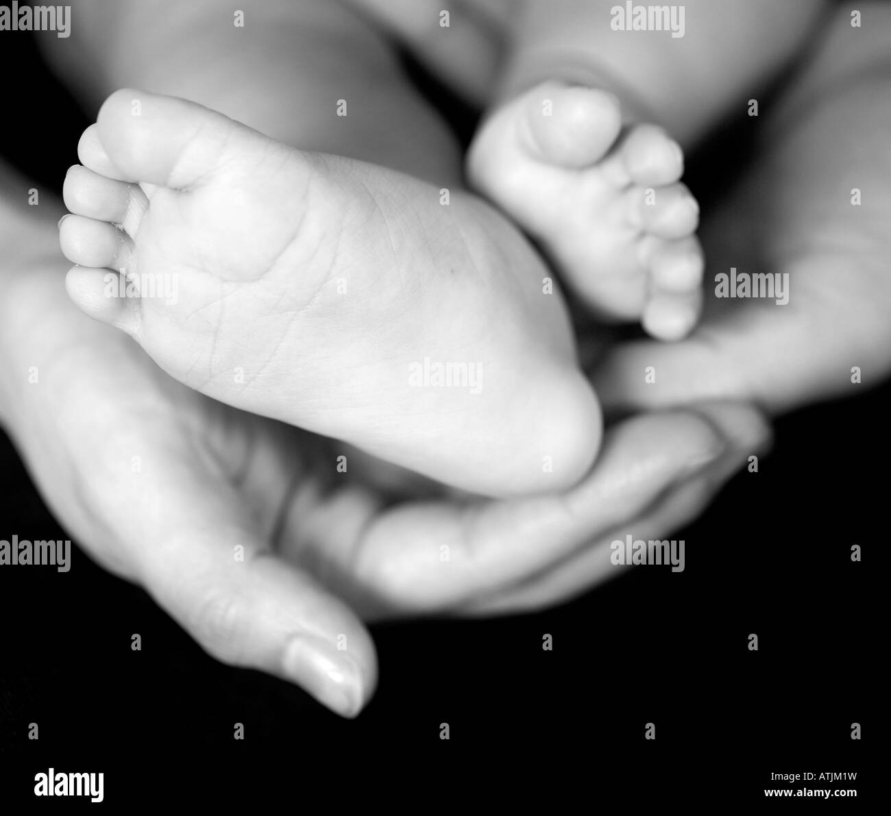 Baby feet and parents' hands. Stock Photo