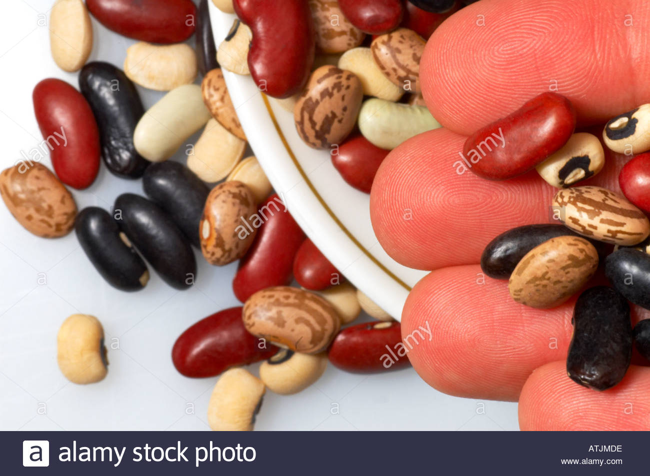 A handful of Black and red kidney beans, flagolet beans, pinto beans