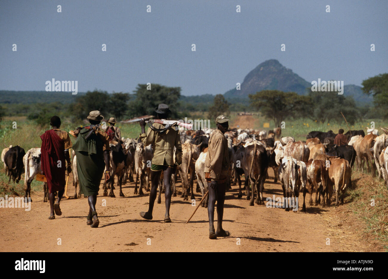Karamoja cattle herders in Eastern Uganda Stock Photo